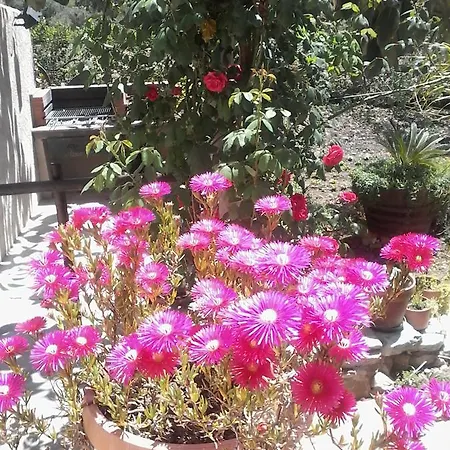 La Ninfea Bed and breakfast *